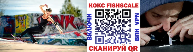 купить наркотики цена  Кудрово  КОКАИН Fish Scale 