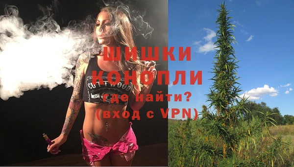 герыч Мегион