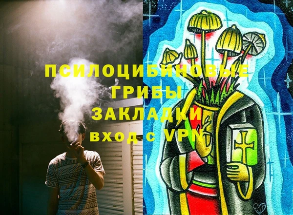 герыч Мегион
