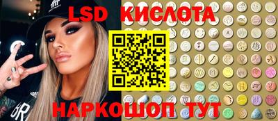 дмт Кингисепп