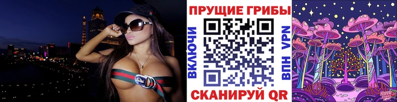 Галлюциногенные грибы GOLDEN TEACHER  Кудрово 