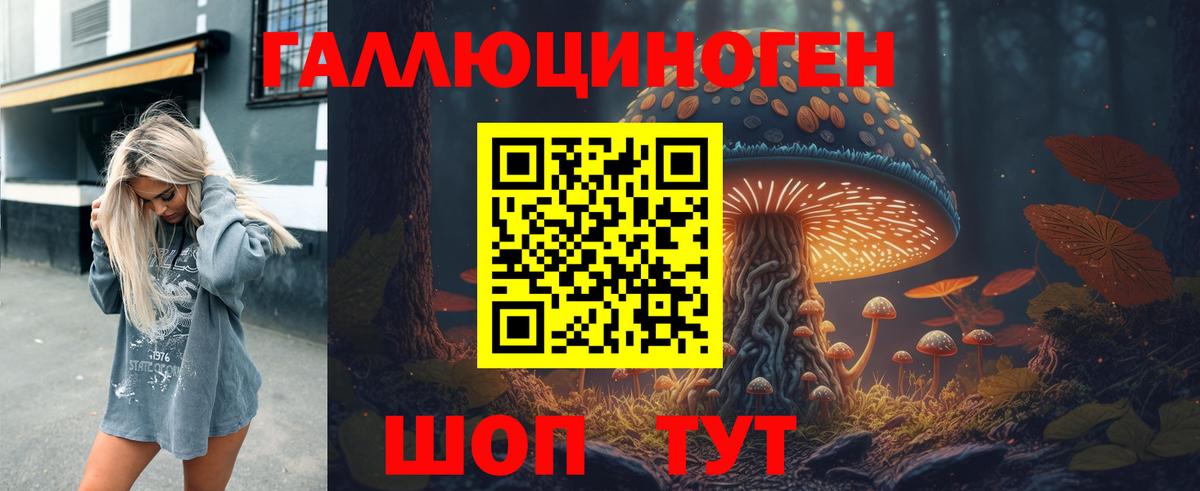 Кудрово  Галлюциногенные грибы Psilocybine cubensis  Вход с VPN  Псилоцибиновые грибы MAGIC MUSHROOMS 
